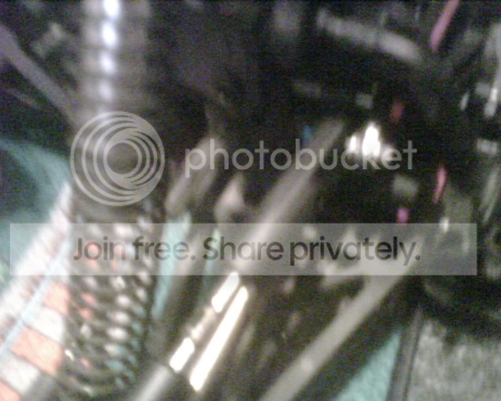 IMG00530.jpg