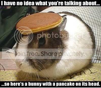 pancake-bunny.jpg