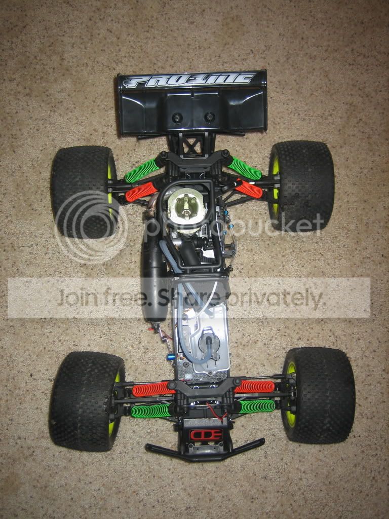 mutt009.jpg