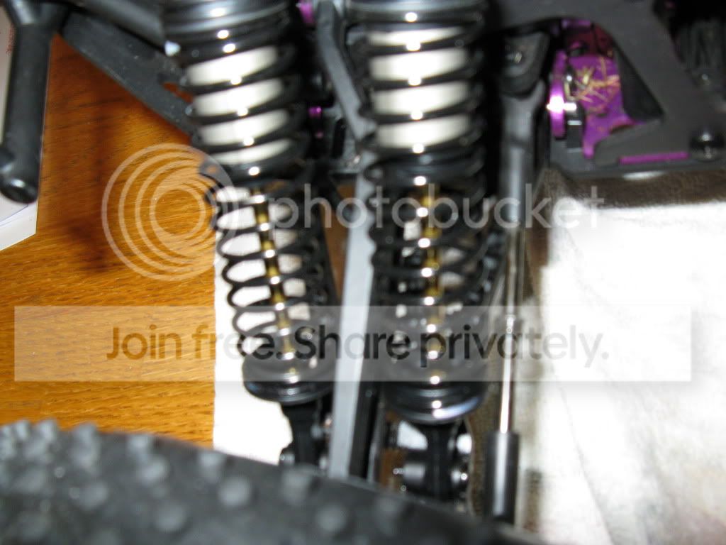 8Shocks003.jpg