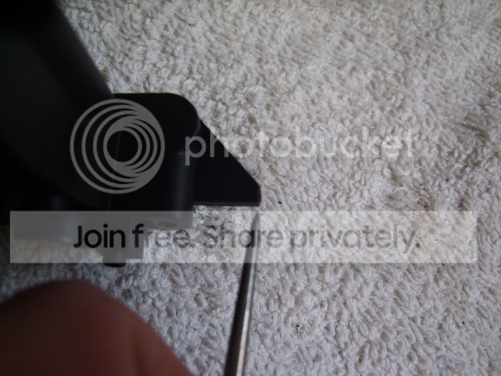 S8003291.jpg