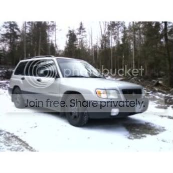forester.jpg