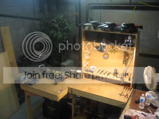 IMG_1687.jpg