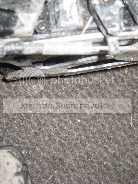 PictureorVideo045.jpg