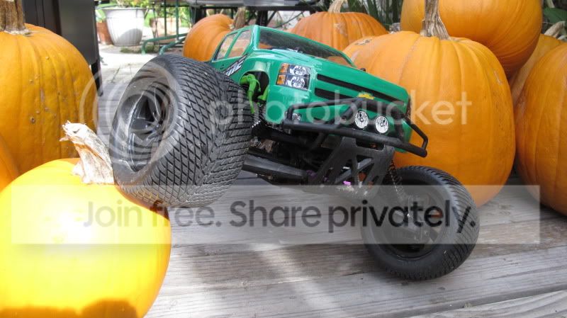 IMG_5237.jpg
