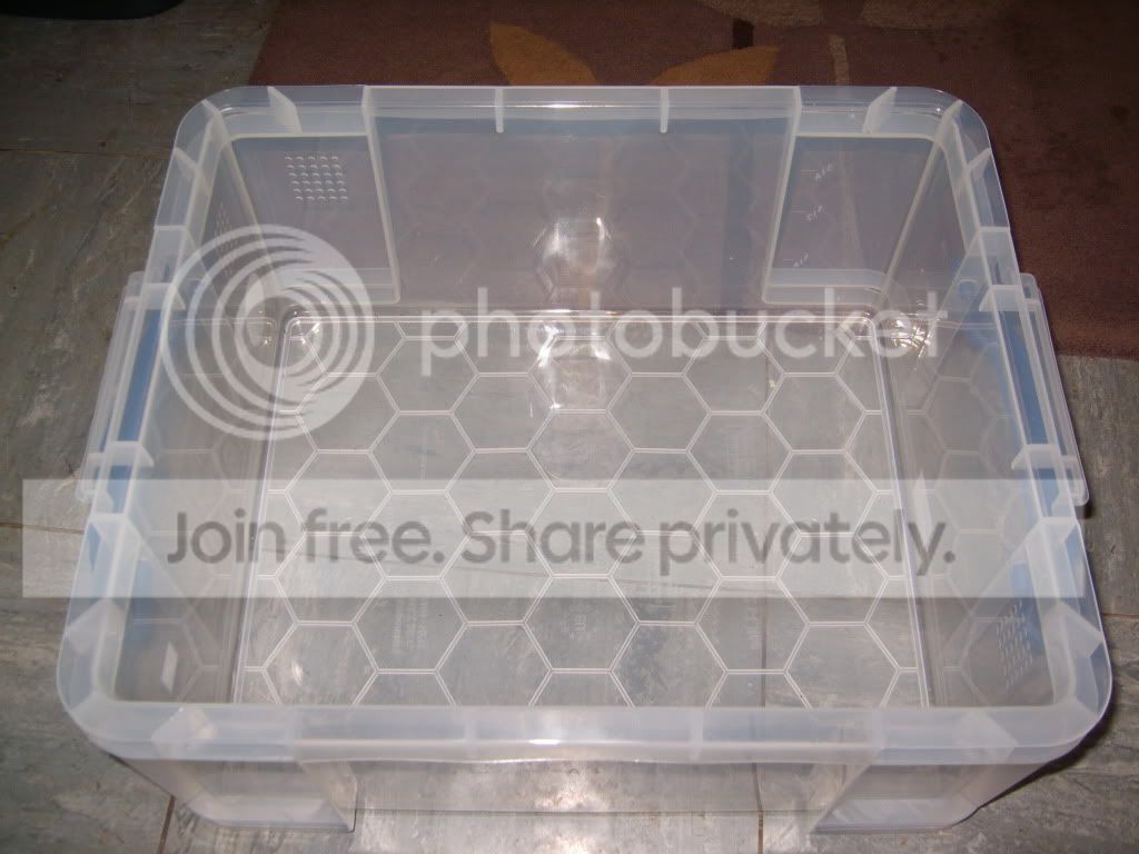 S8003265.jpg