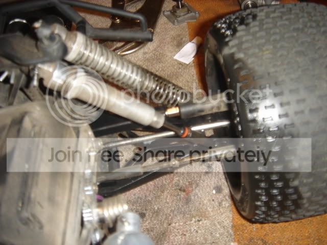 DSC01679.jpg