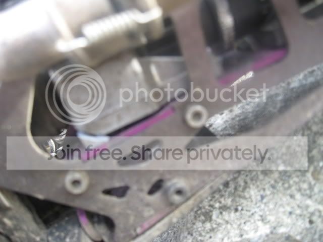 IMG_1050.jpg