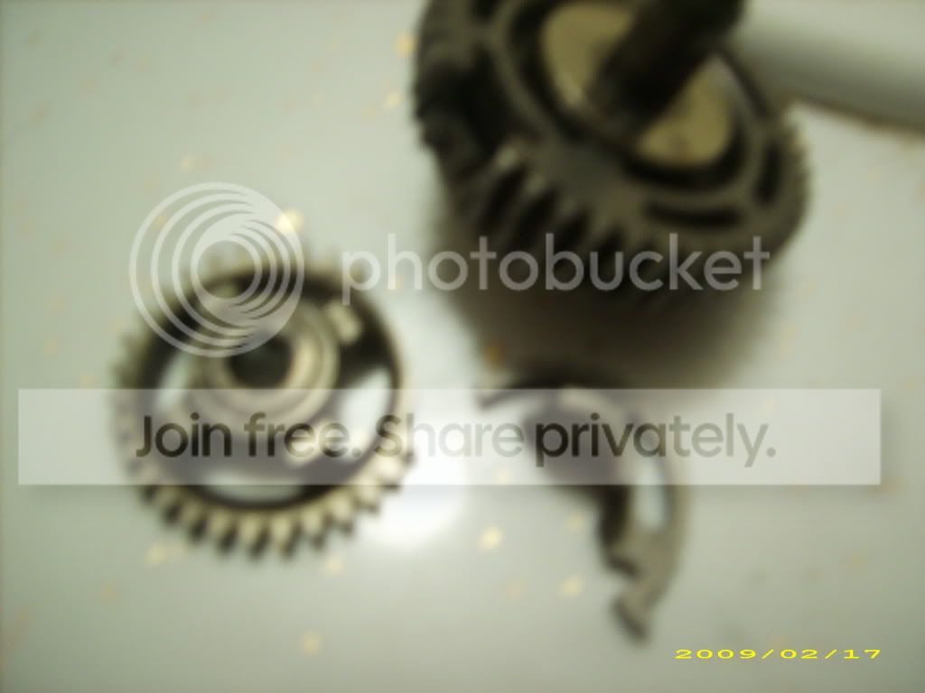DSCI0003.jpg