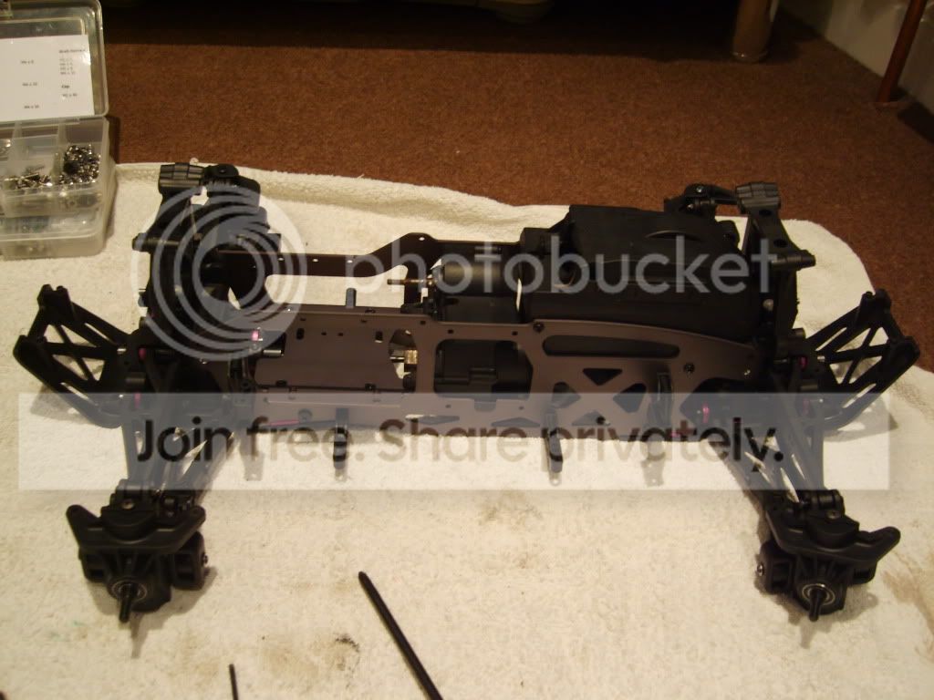S8003299.jpg