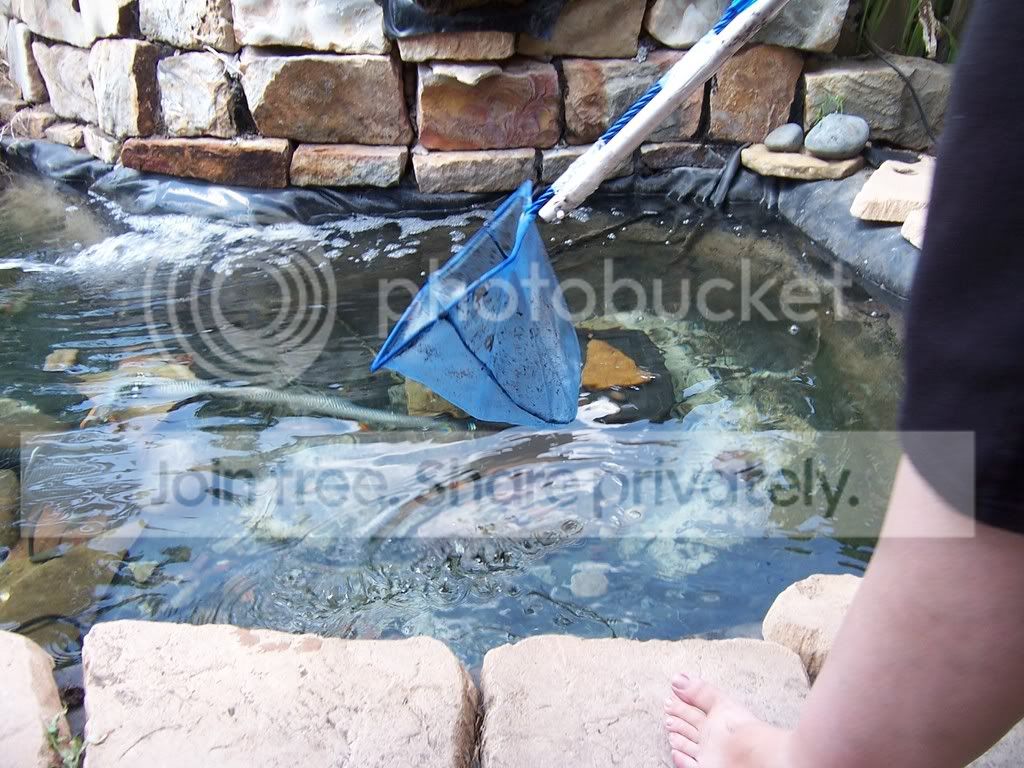 100_2744.jpg