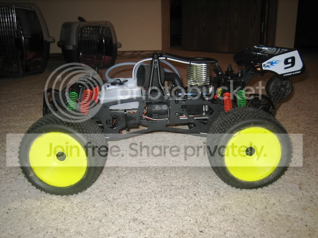 mutt010.jpg