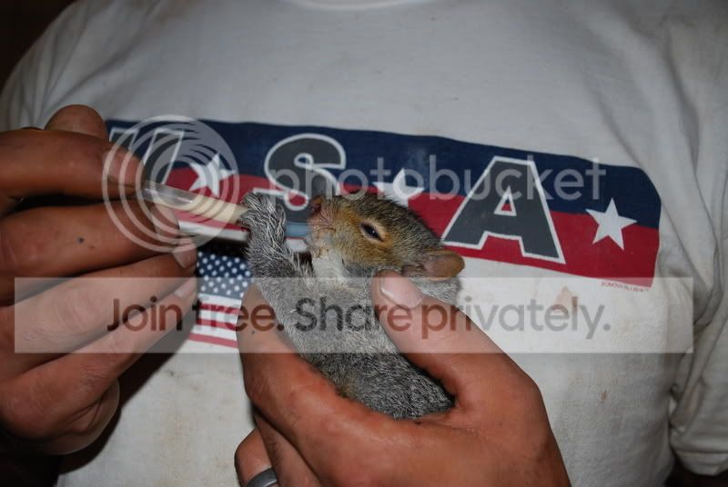 thenewcritter009.jpg