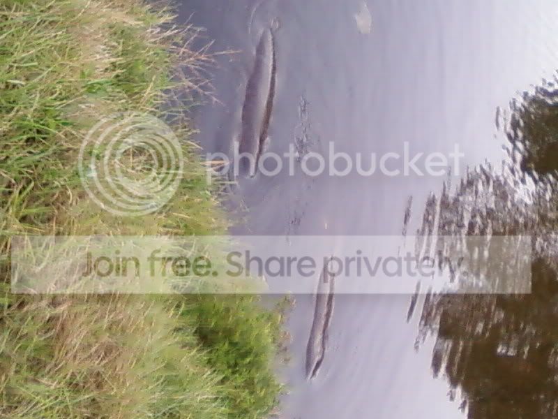 SP_A0128.jpg