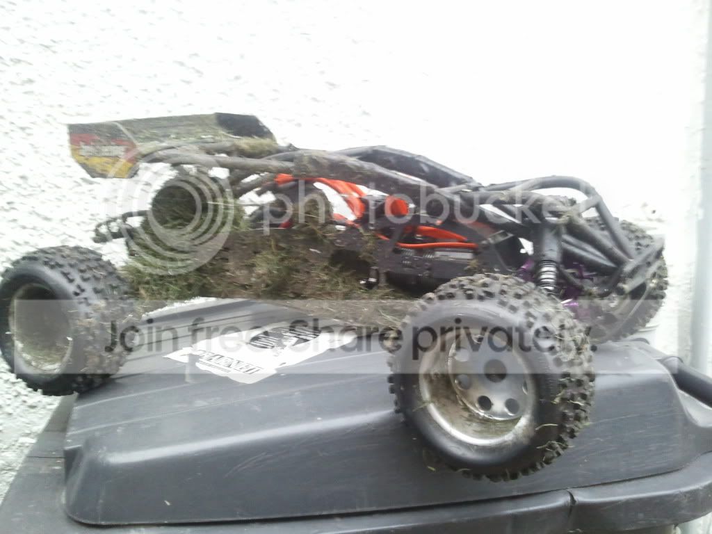 2010-10-15173955.jpg