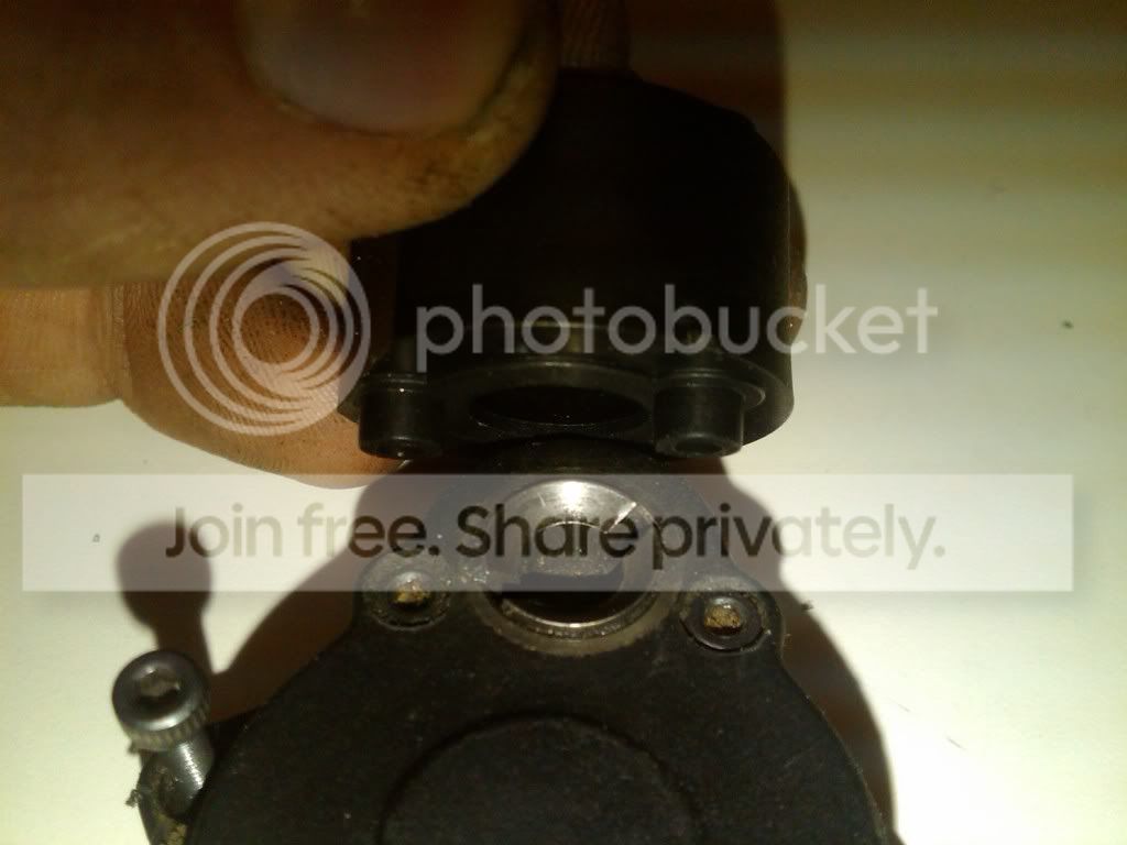IMG00611-20101102-1722.jpg