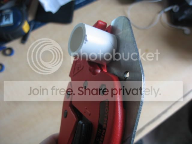 IMG_3806.jpg