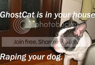 ghostcat.jpg