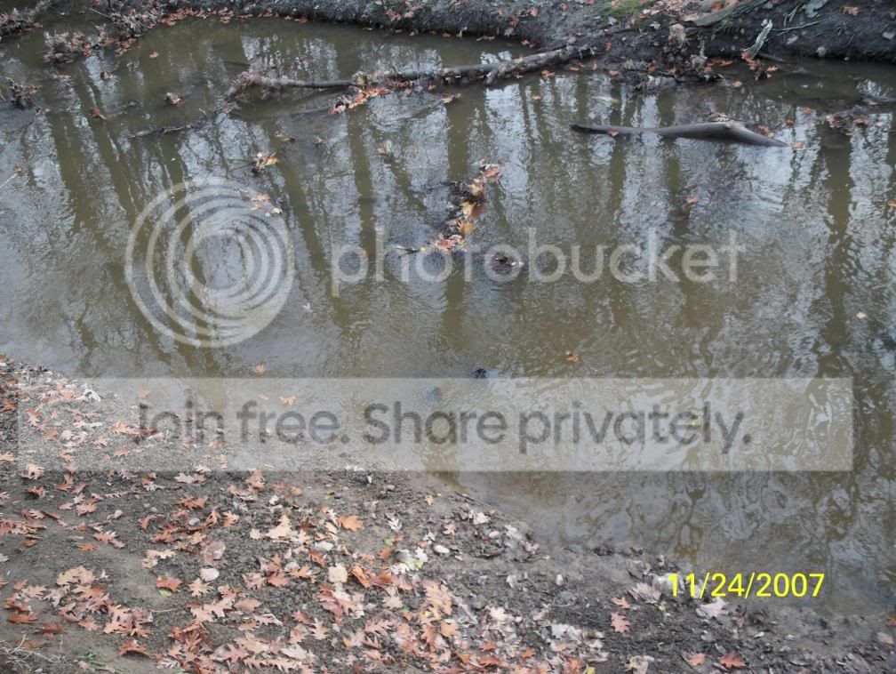 HPISFPRODUCTREVEIW.jpg