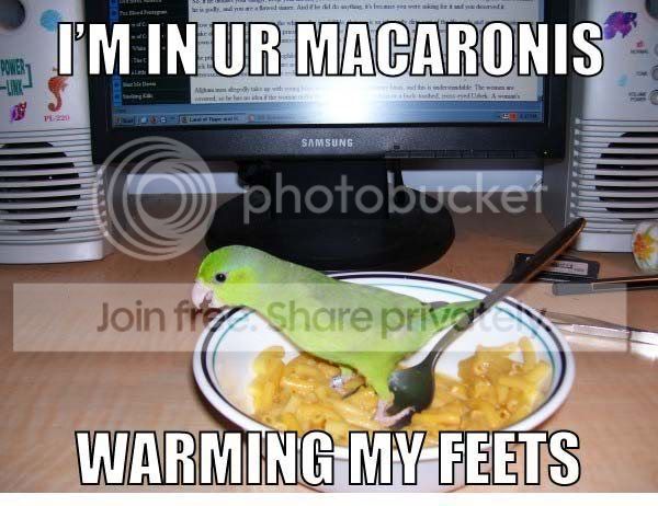 In_your_macaroni.jpg
