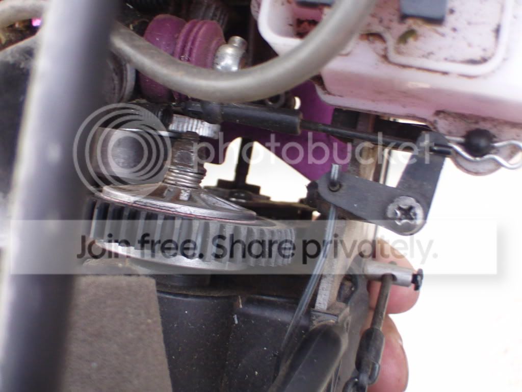 CAM_0335.jpg
