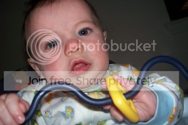 Picture072.jpg